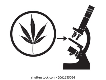 
Cannabis wird untersucht. Alternative Arzneimittel Cannabis. Cannabis alternative Medizin. Cannabis-Forschung
