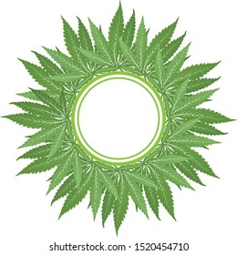 Cannabis vector green circle frame