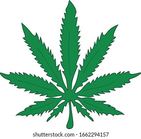 Hoja verde vectorial de cannabis con contorno sobre fondo blanco.