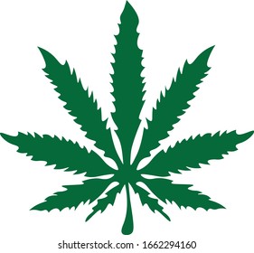 Cannabis vector green leaf with outline on a white background.