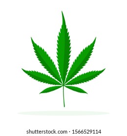 Cannabis vector icon. Green cannabis leaf logo. Medical marijuana leaf isolated.