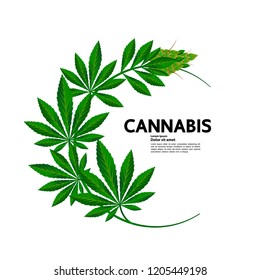 Cannabis vector illustration.