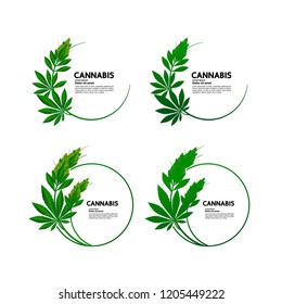 Cannabis vector illustration.
