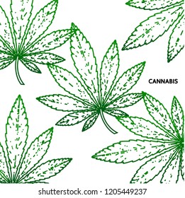 Cannabis vector illustration.