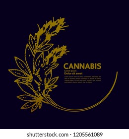 Cannabis vector illustration.