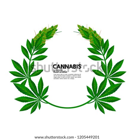Cannabis vector illustration.