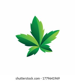 vector de cannabis aislado en fondo blanco