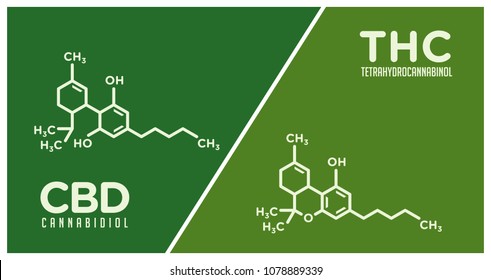 Cannabis Vector Logo. Cbd And Thc.