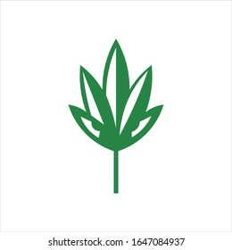 logo del vector de cannabis gráfico abstracto moderno