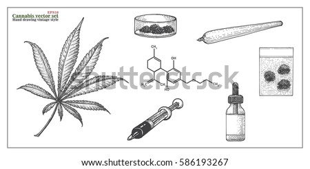 Cannabis Vector Set hand drawing