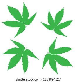 Cannabis.Green leaves . Separate. Vector, hand drawn. Single on white background