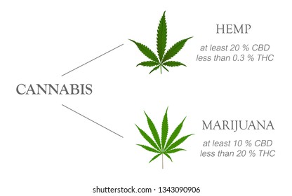 889 Marijuana family Images, Stock Photos & Vectors | Shutterstock