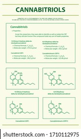 Cannabitriol CBT with Structural Formulas in Cannabis vertical infographic illustration about cannabis as herbal alternative medicine and chemical therapy, healthcare and medical science vector.