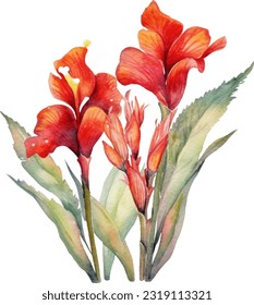 Cannas Watercolor illustration. Hand drawn underwater element design. Artistic vector marine design element. Illustration for greeting cards, printing and other design projects.