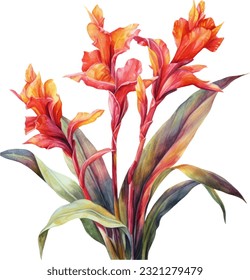 Cannas Watercolor illustration. Hand drawn underwater element design. Artistic vector marine design element. Illustration for greeting cards, printing and other design projects.