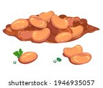 Canned beans in tomato sauce, isolated on a white background. Detailed vector illustration of a cooking ingredient.