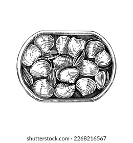 Canned clam shells in opened tin can illustration. Tinned seafood vector drawing. Hand drawn edible marine mollusks sketch isolated on vintage background. Shellfish for menu, recipes, logos, flyer