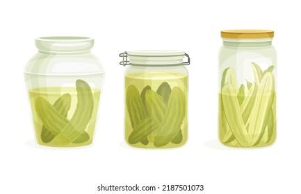 Canned Whole Pickled Cucumber or Gherkin Preserved with Brine in Glass Jar Vector Set