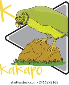 The kākāpō cannot fly, It uses its wings for balance and to break its fall when leaping from trees. The kākāpō has a well-developed sense of smell, which complements its nocturnal lifestyle.