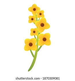 Canola eco plant icon. Cartoon of canola eco plant vector icon for web design isolated on white background