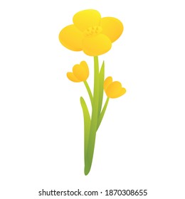 Canola field plant icon. Cartoon of canola field plant vector icon for web design isolated on white background