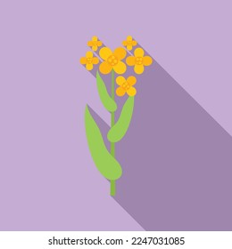 Canola field plant icon flat vector. Oil flower. Rape mustard