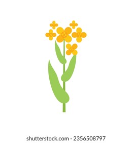 Canola field plant icon flat vector. Oil flower. Rape mustard isolated