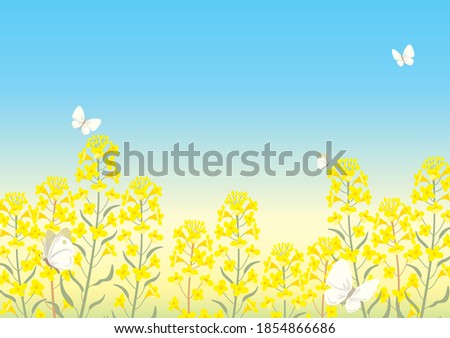 Similar – Image, Stock Photo Yellow rape flower as detail with green background