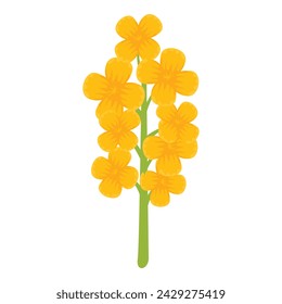 Canola flower icon cartoon vector. Rapeseed plant food. Leaf elegant floral