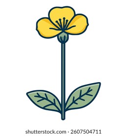 canola flower nature plant flat color vector illustration template design