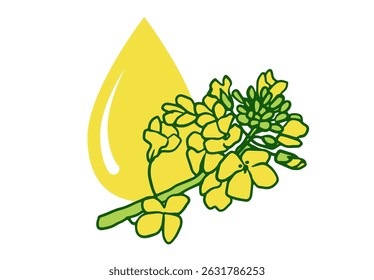 Canola flower and rapeseed oil drop icon. linear illustration of plant flowers on white background for icon, poster, packaging design