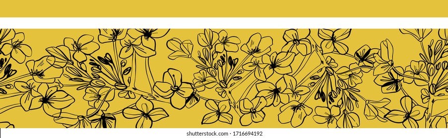 Elemento de diseño vectorial de flor canola. Elementos de diseño floral. Flores de colza dibujadas de forma gráfica.
