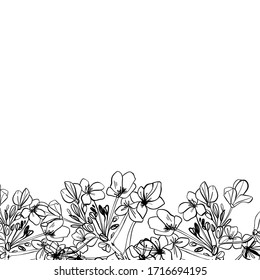 Canola flower vector design element. Floral design elements. Graphic sketched colza flowers.