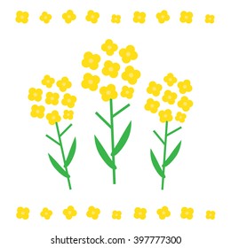 Canola flower vector illustration. Canola flower concept in flat style. Canola flowers 