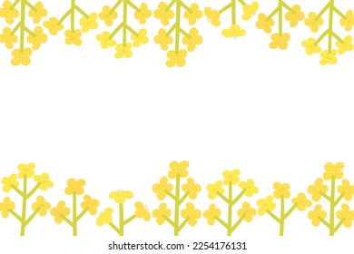 Canola flowers frame illustration, Vector hand drawn illustration