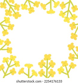 Canola flowers frame illustration, Vector hand drawn illustration
