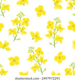 Canola flowers seamless pattern. Botanical background. Vector cartoon flat illustration.