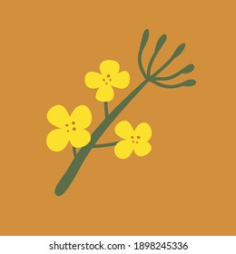 Canola on a white isolated background. Yellow hand-drawn bright flowers. Blooming design elements for postcards, banners. Beautiful buds in a flat style.