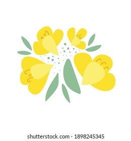 Canola on a white isolated background. Yellow hand-drawn bright flowers. Blooming design elements for postcards, banners. Beautiful buds in a flat style.