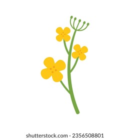 Canola plant icon flat vector. Oil flower. Mustard olive isolated