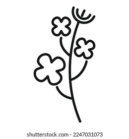 Canola plant icon outline vector. Oil flower. Mustard olive