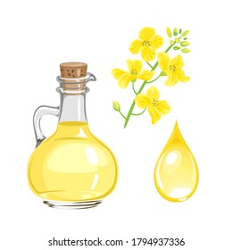 Canola Seed Oil In Glass Bottle, Yellow Flower And Drop Isolated On White. Vector Illustration. Cartoon Flat Style.