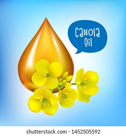 Canola Seeds And Flowers, Rape Oil. Brassica Napus. Seamless Vector Pattern. Isolated Vector Illustration On White Background.