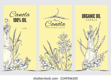 Canola vertical poster set, vector flat illustration. Blooming canola, drawing on a banner. Canola branches, botanical sketch