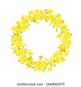 Canola wreath, Rapeseed garland blossom flowers card. Vector template. Flowering colza chaplet. Brassica napus crown. Blooming yellow rape. For decoration, wrapping, advertising, invitations