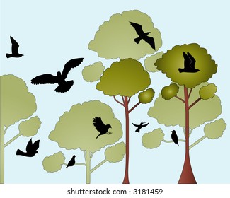 canopy of trees with birds vector