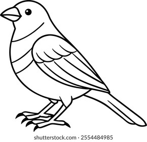 
CANRY bird line art vector design