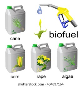 Cans with biofuel and fuel pump nozzle. Colored hand drawn vector illustration of biofuel sources on white background