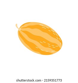 Cantaloup sweet melon isolated flat cartoon icon. Vector muskmelon cantaloup, summer food snack. Whole orange and yellow melon, vegetarian fruit healthy dieting cantaloupe full of vitamins