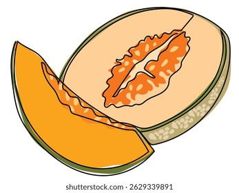 Cantaloupe está en línea continua y dibujado sobre un fondo blanco.